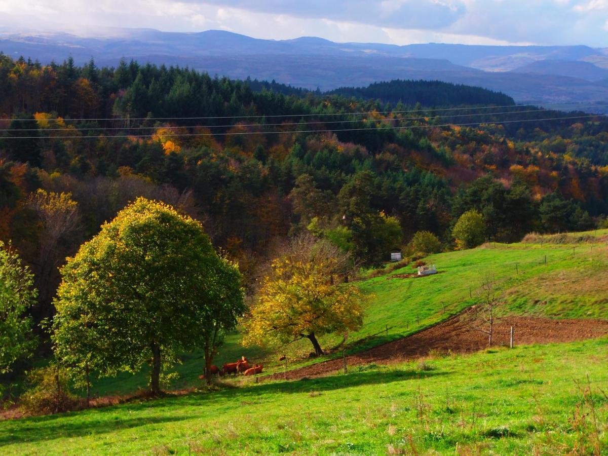 Le Vallon D'Armandine, Gite Ecologique Auvergne Saint-Hilaire  エクステリア 写真