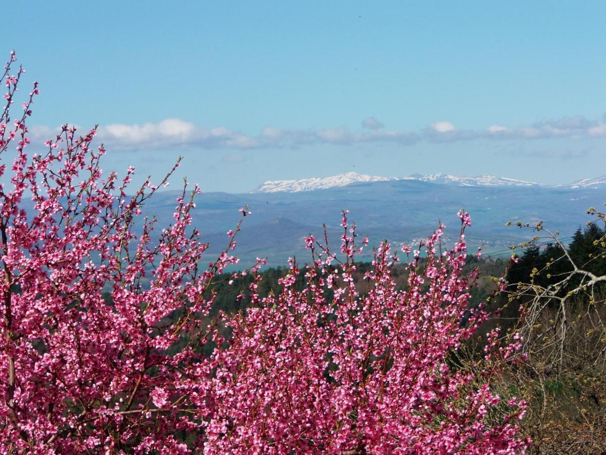 Le Vallon D'Armandine, Gite Ecologique Auvergne Saint-Hilaire  エクステリア 写真