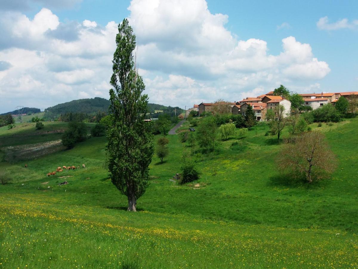 Le Vallon D'Armandine, Gite Ecologique Auvergne Saint-Hilaire  エクステリア 写真